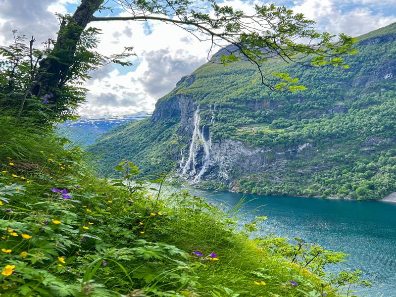 Seven sisters from the hike