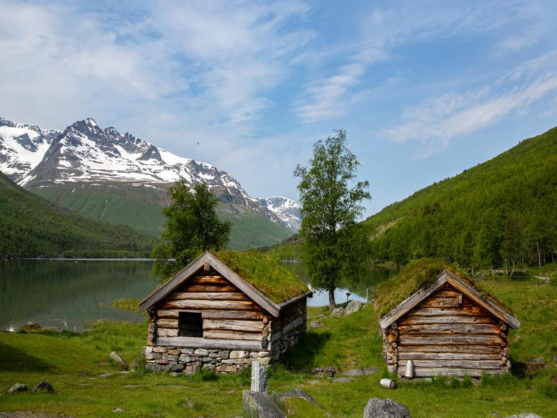 Farm at Renndolsetra
