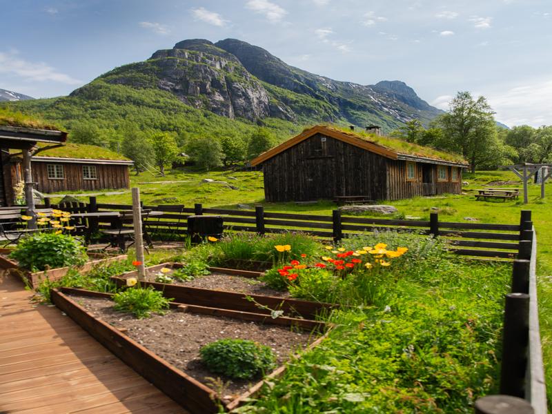Farm garden and views