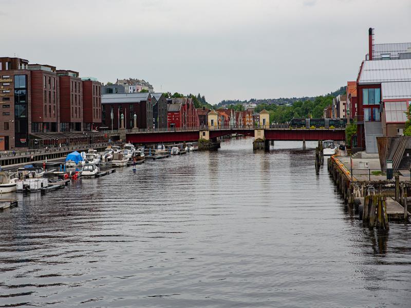 Strange to be back in the city