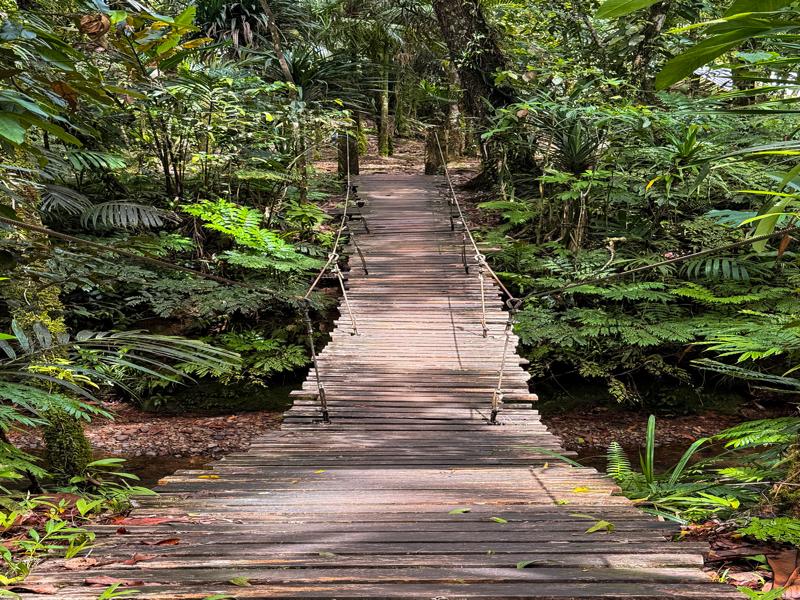 Bridge when hiking to the waterfall
