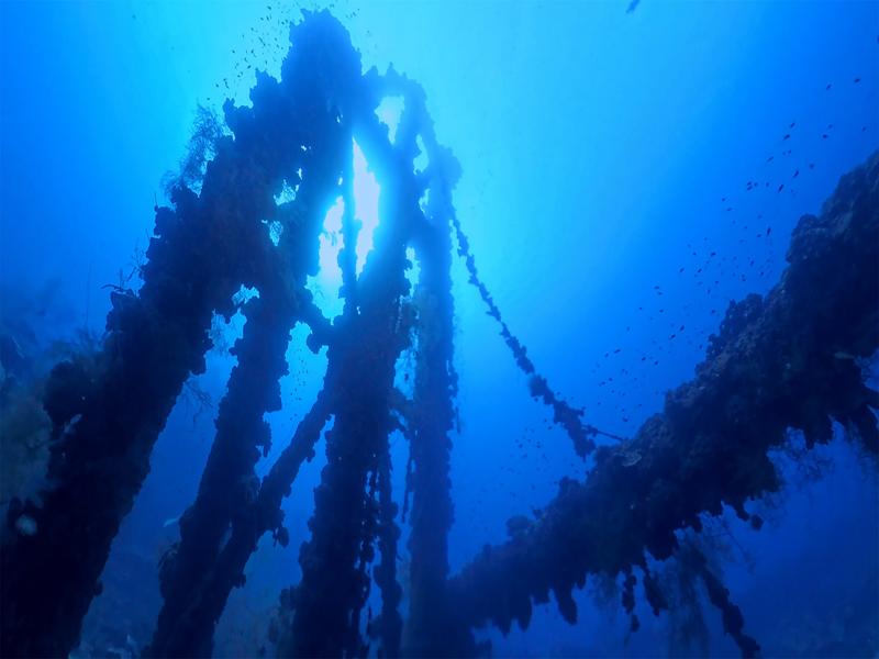 We dove to the wreck of Iro Maru