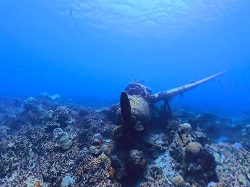 As well as a WWII seaplane