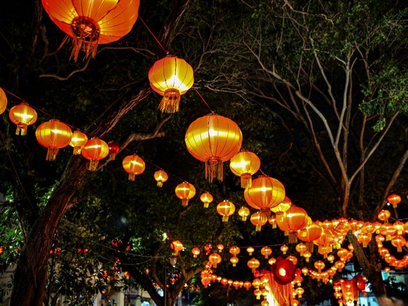 Chinese lanterns in the park