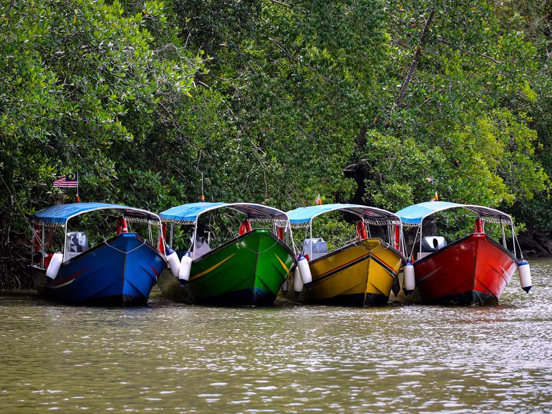 Typical boats for the tour lined up