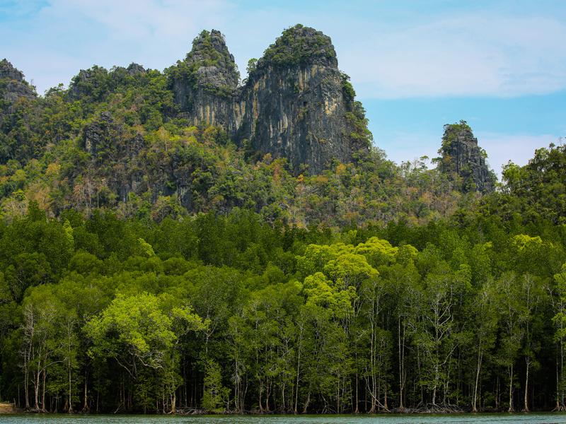 Limestone cliffs of geoforest