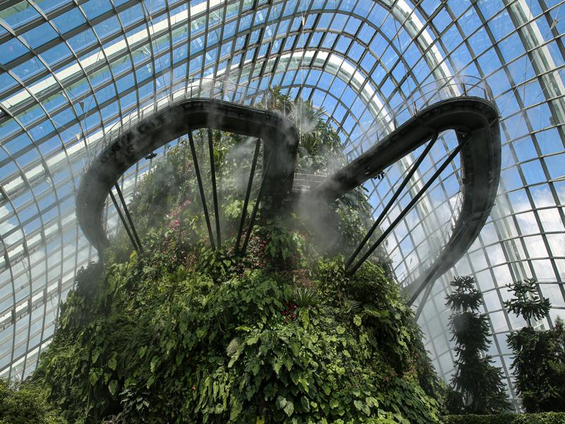 Cloud Forest at Gardens by the Bay