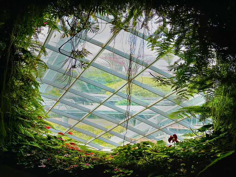 Cloud Forest at Gardens by the Bay