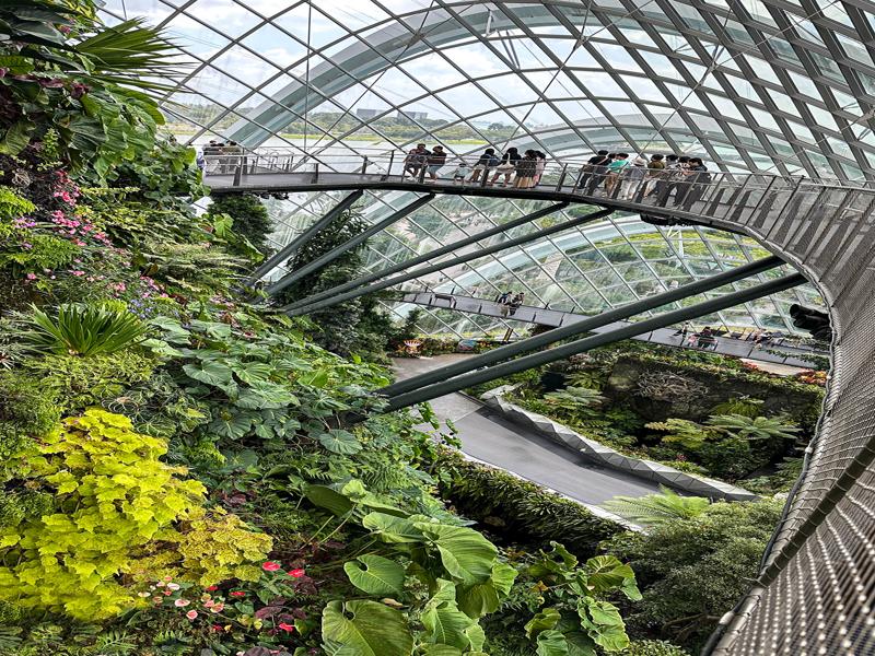 Cloud Forest at Gardens by the Bay