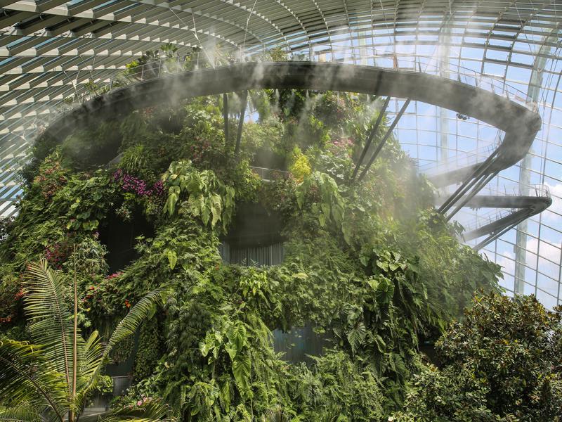 Cloud Forest at Gardens by the Bay