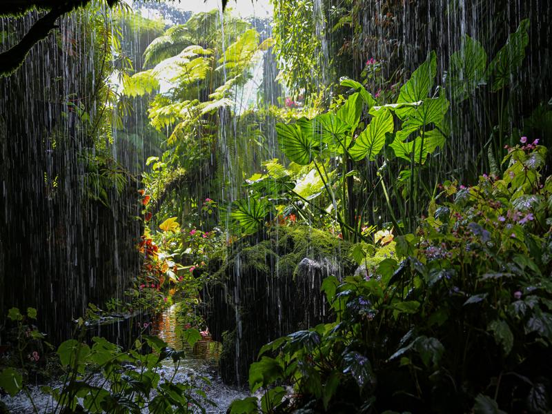 Cloud Forest at Gardens by the Bay