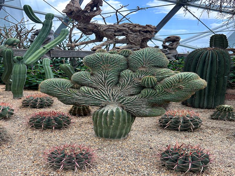 Flower Dome at Gardens by the Bay