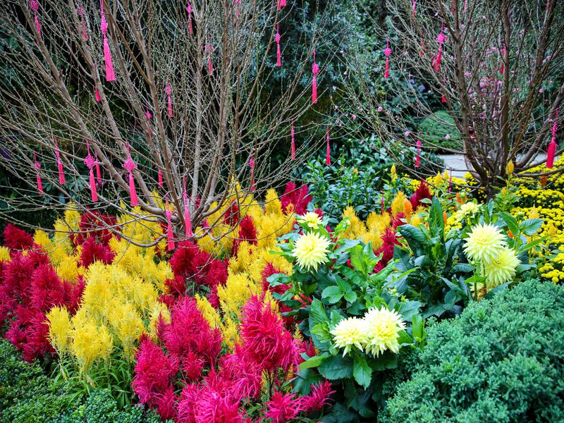 Flower Dome at Gardens by the Bay