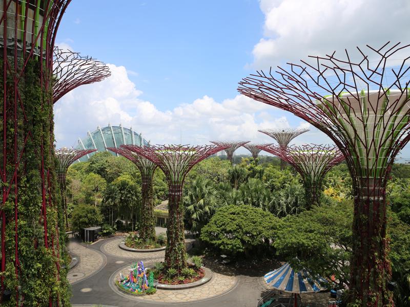 Supertrees from the skywalk