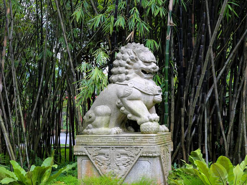 Chinese lion in the bamboo