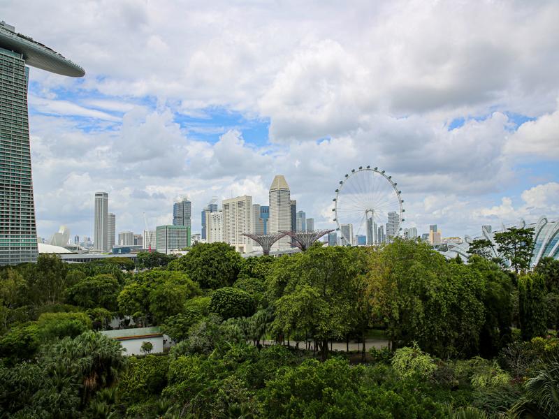 Skyline from the skywalk