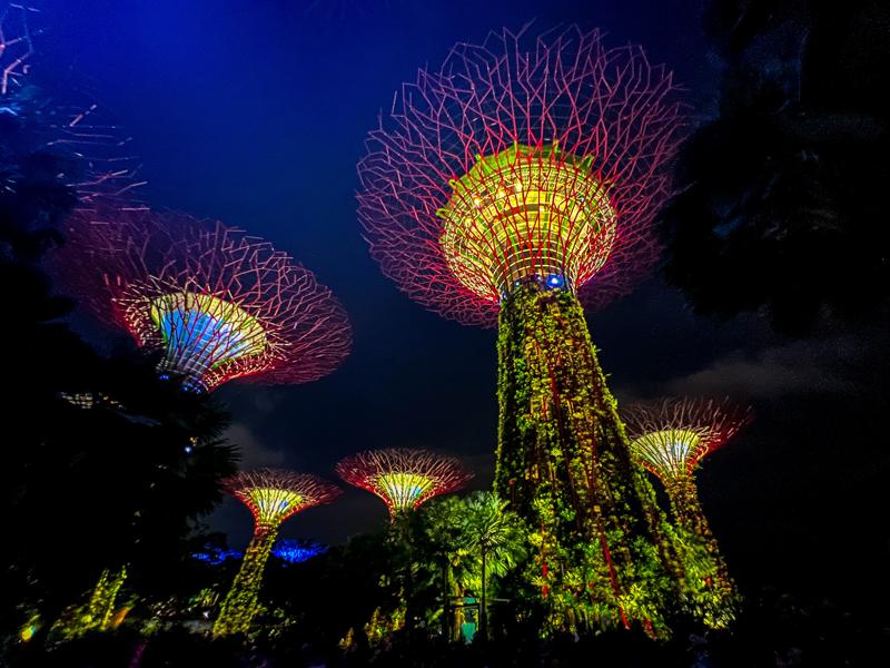 Supertrees at night