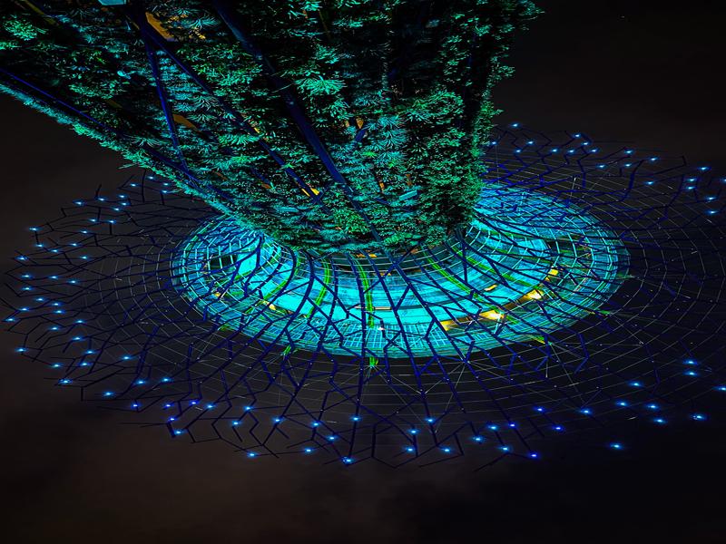 Supertrees during the light show