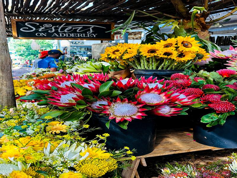 Cape Town farmers market