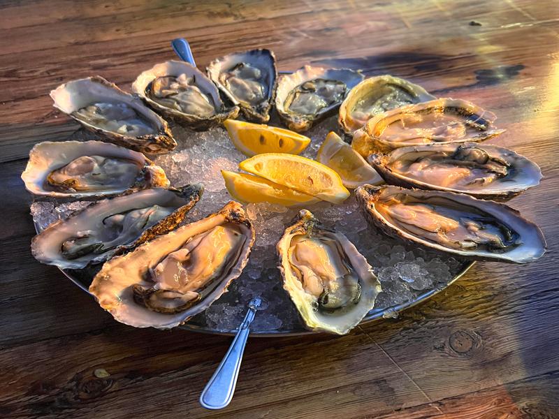 Oysters at dinner