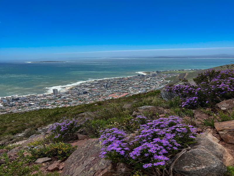 View from Lionshead hike