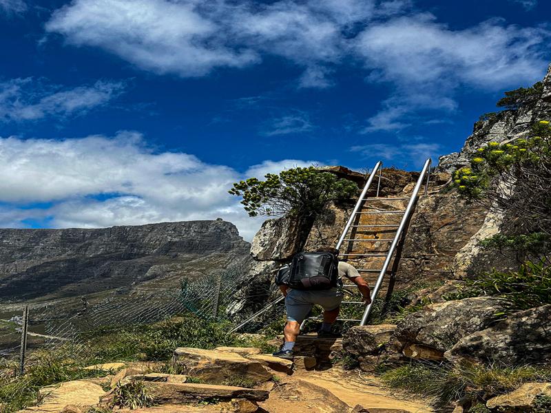 Ladders on the Lionshead hike