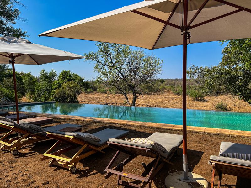 Beck's Safari Lodge pool