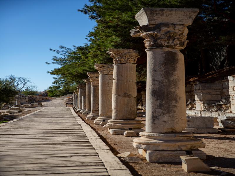 Columns lining the way