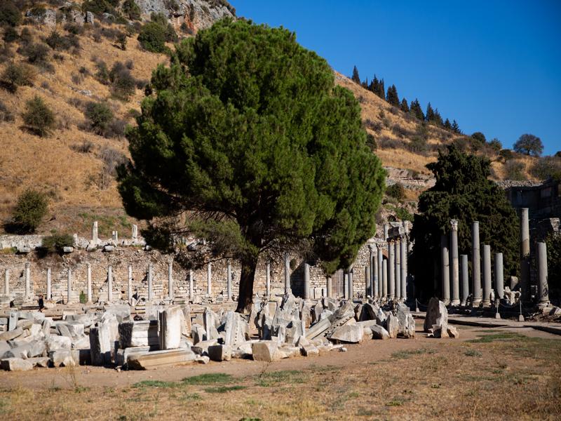 Waiting to be put back together