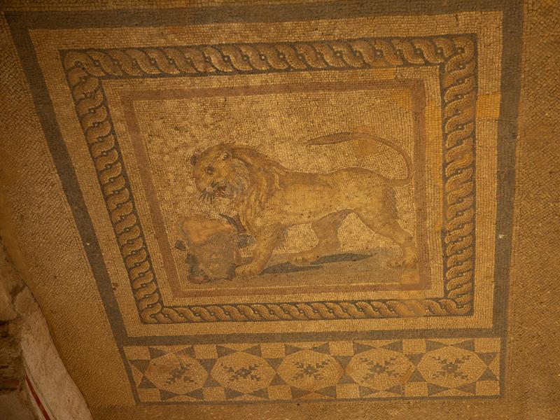 Floor mosaic in the terrace houses
