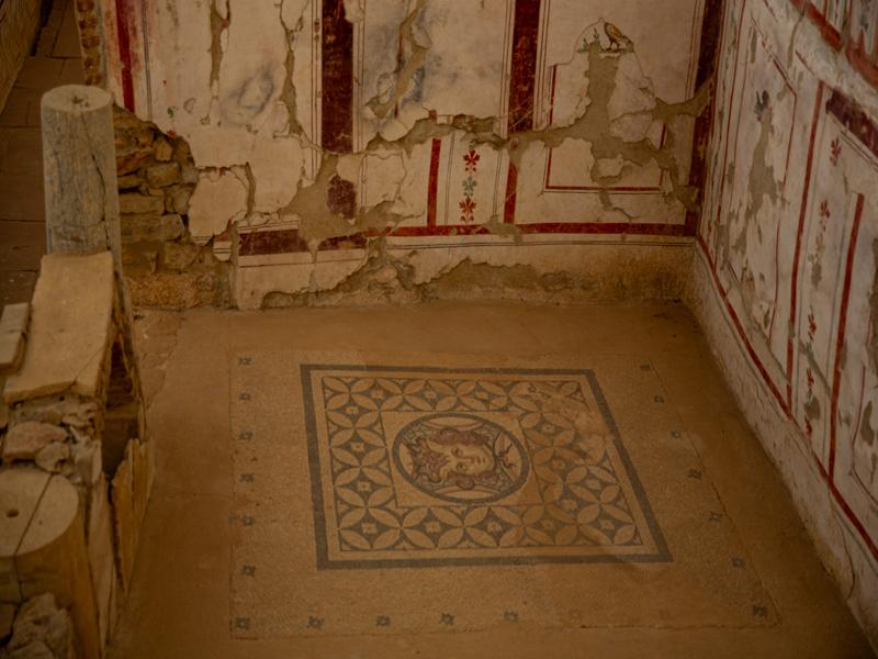 Terrace houses details