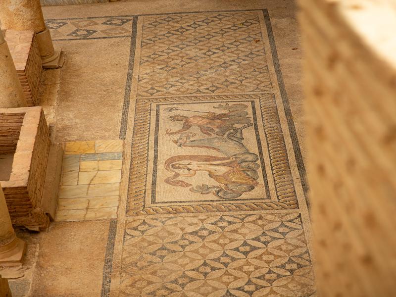 Terrace houses details