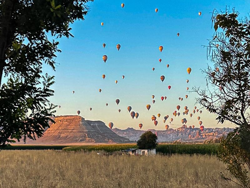 Balloons from the road